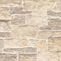 Piso Cerâmico Seleto Plus A 61x61cm Cecafi Idealle