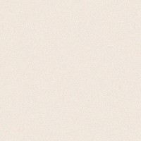 Piso Cerâmico Shine Plus 60x60cm A Angelgres