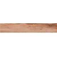 Porcelanato Polido Organic Natural A 16,5x100 Elizabeth