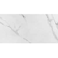 Porcelanato Acetinado Place A 60x120cm Eliane