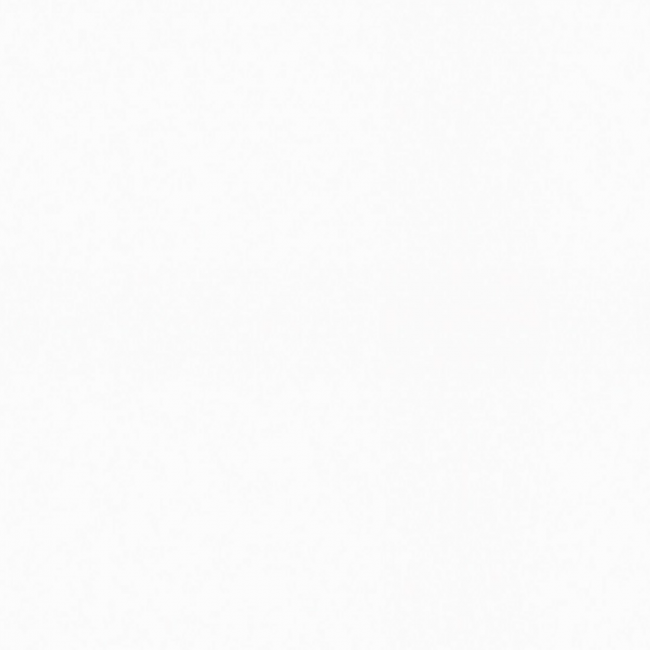 Revestimento de Parede Alaska Mate Plus A 37,4x74,4cm Cecafi